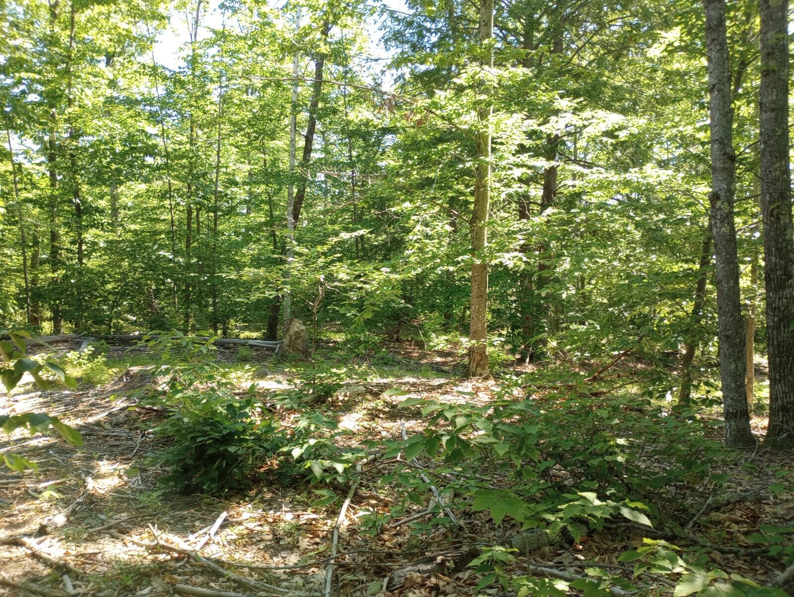 Tbd Tbd North Road Limington, ME 04049 - Photo 8 of 13 9