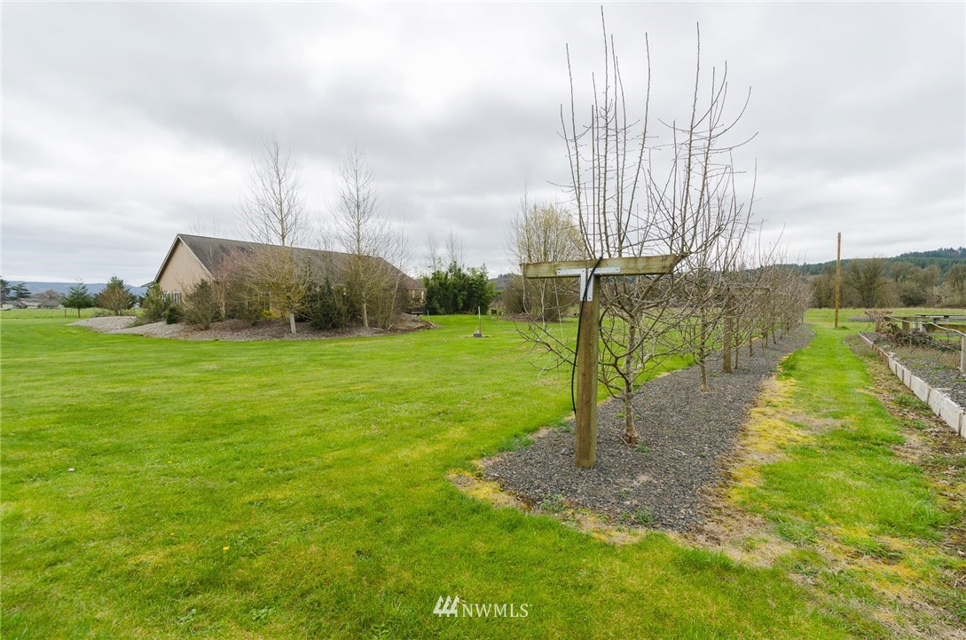393-38 Ceres Hill Road Chehalis, WA 98532 - Photo 24 of 25