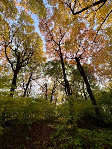 $249,900 | 7495 Fern Court, Loretto, MN 55357