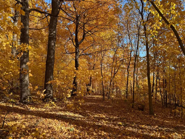 $249,900 | 7495 Fern Court, Loretto, MN 55357