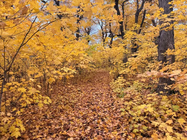 $249,900 | 7495 Fern Court, Loretto, MN 55357