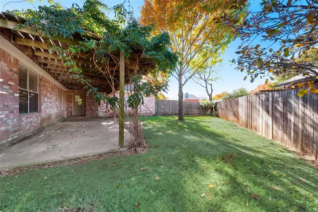 a view of a yard with a tree