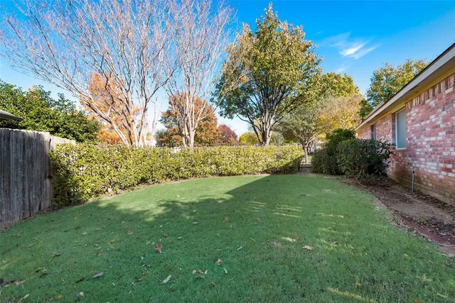 a view of a back yard