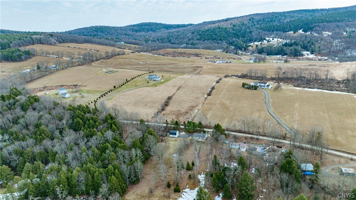 Buck Road Fly Creek, NY 13337 - Photo 9 of 9 Don't miss the opportunity to create your scenic c