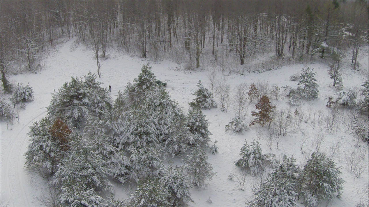 0 11 11 Mile Road Reed City, MI 49677 - Photo 7 of 19
