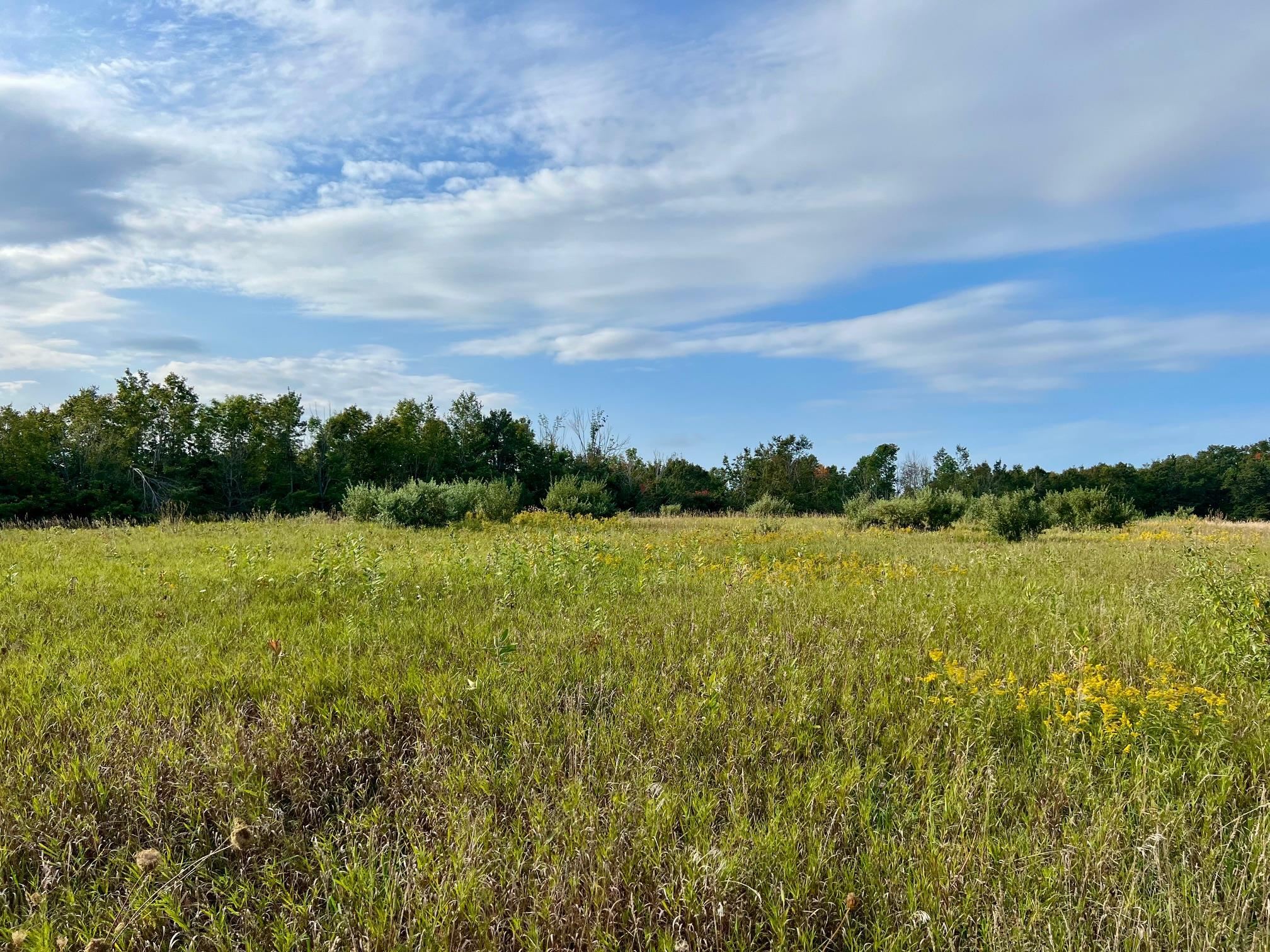 0 Skinner Road Charlevoix, MI 49720 - Photo 3 of 15