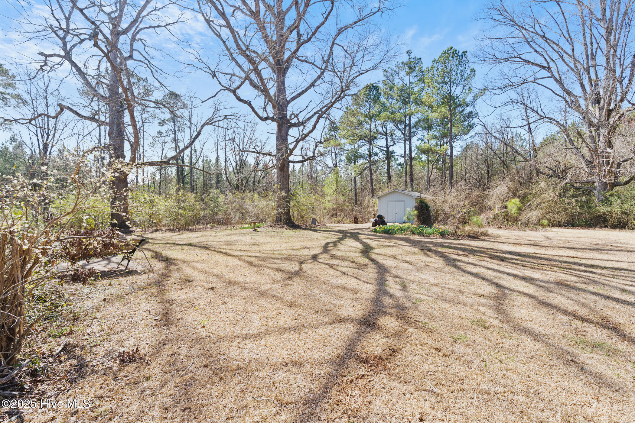 277 Old Woods Road Rockingham, NC 28379 - Photo 11 of 40 DSC08306