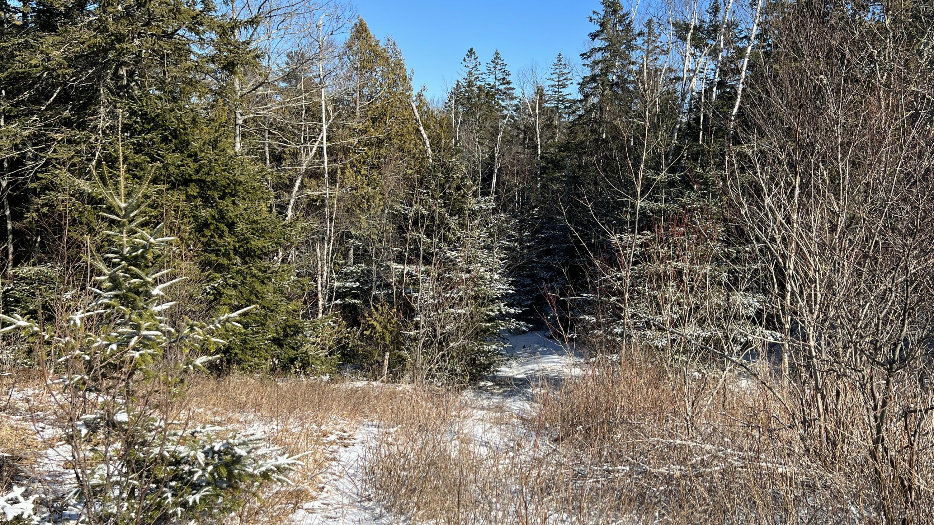 Lot 52-53 Lead Mine Road Lubec, ME 04652 - Photo 1 of 4 5B40A9DF-13CD-4DE1-ABDC-D704754FD786