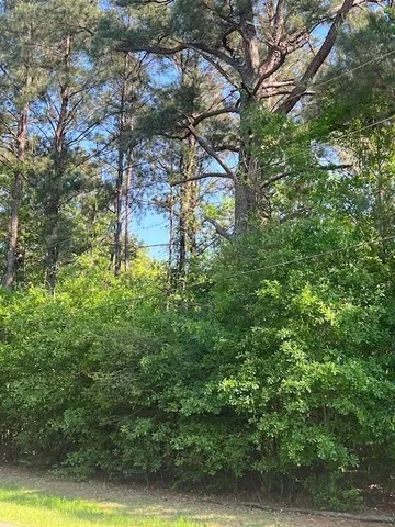 $33,000 | 0 Raehyo Lane, Folsom, LA 70437