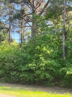 $33,000 | 0 Raehyo Lane, Folsom, LA 70437