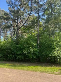 $33,000 | 0 Raehyo Lane, Folsom, LA 70437