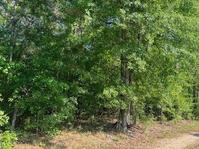 0 Raehyo Lane Folsom, LA 70437 - Photo 4 of 10