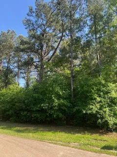 $33,000 | 0 Raehyo Lane, Folsom, LA 70437