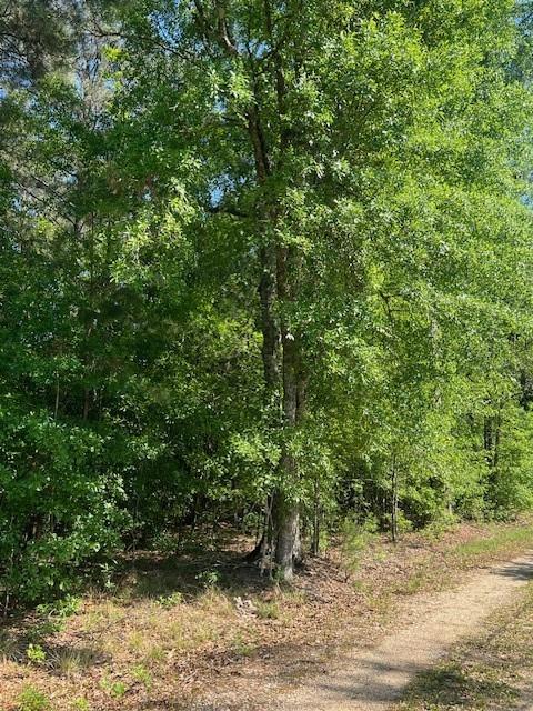 0 Raehyo Lane Folsom, LA 70437 - Photo 7 of 10