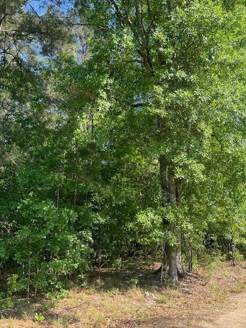 0 Raehyo Lane Folsom, LA 70437 - Photo 8 of 10