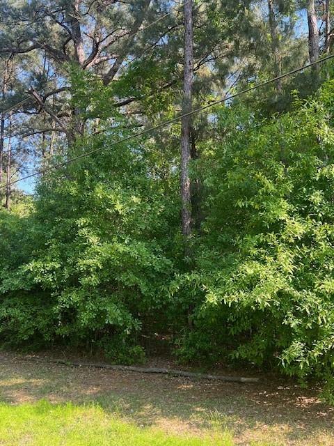 0 Raehyo Lane Folsom, LA 70437 - Photo 9 of 10