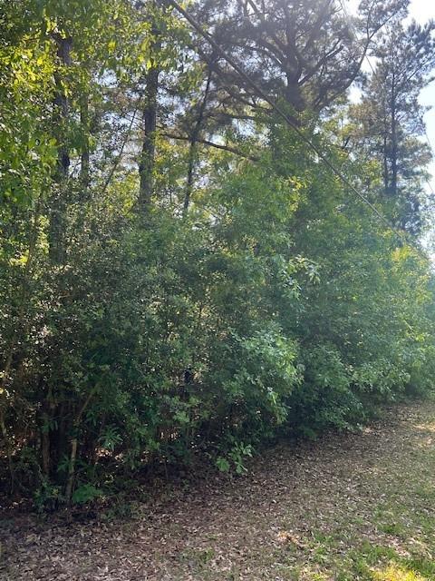 0 Raehyo Lane Folsom, LA 70437 - Photo 10 of 10