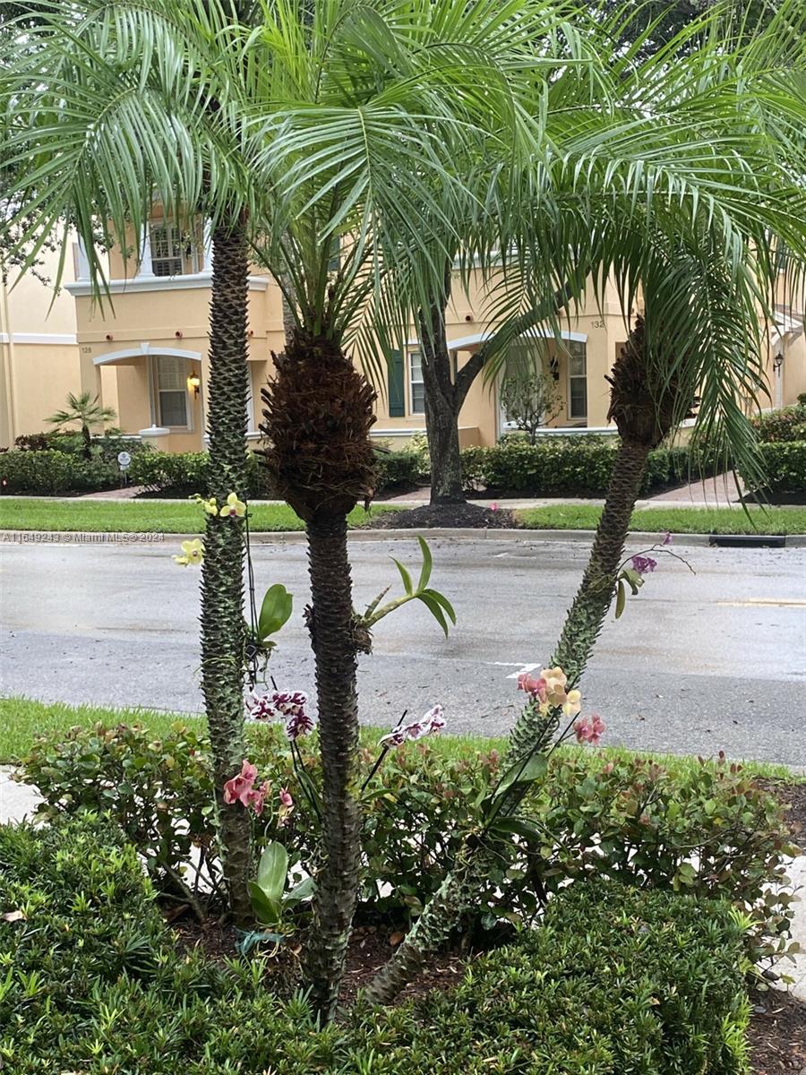 155 Soriano Drive, Unit 155 Jupiter, FL 33458 - Photo 2 of 29 a view of a backyard