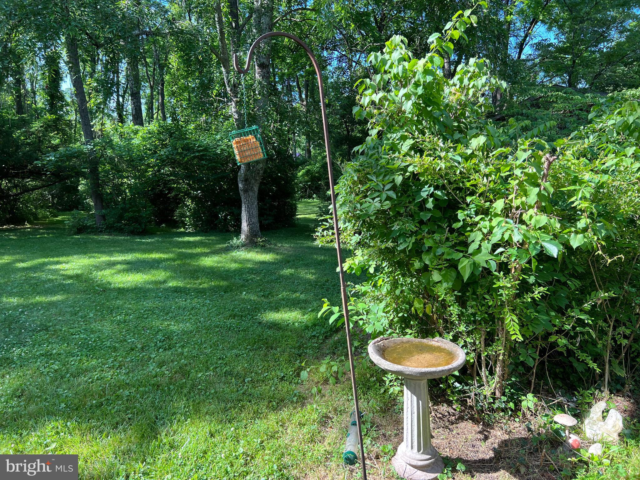 6230 Lower York Road New Hope, PA 18938 - Photo 19 of 20 a backyard of a house with table and chairs plants