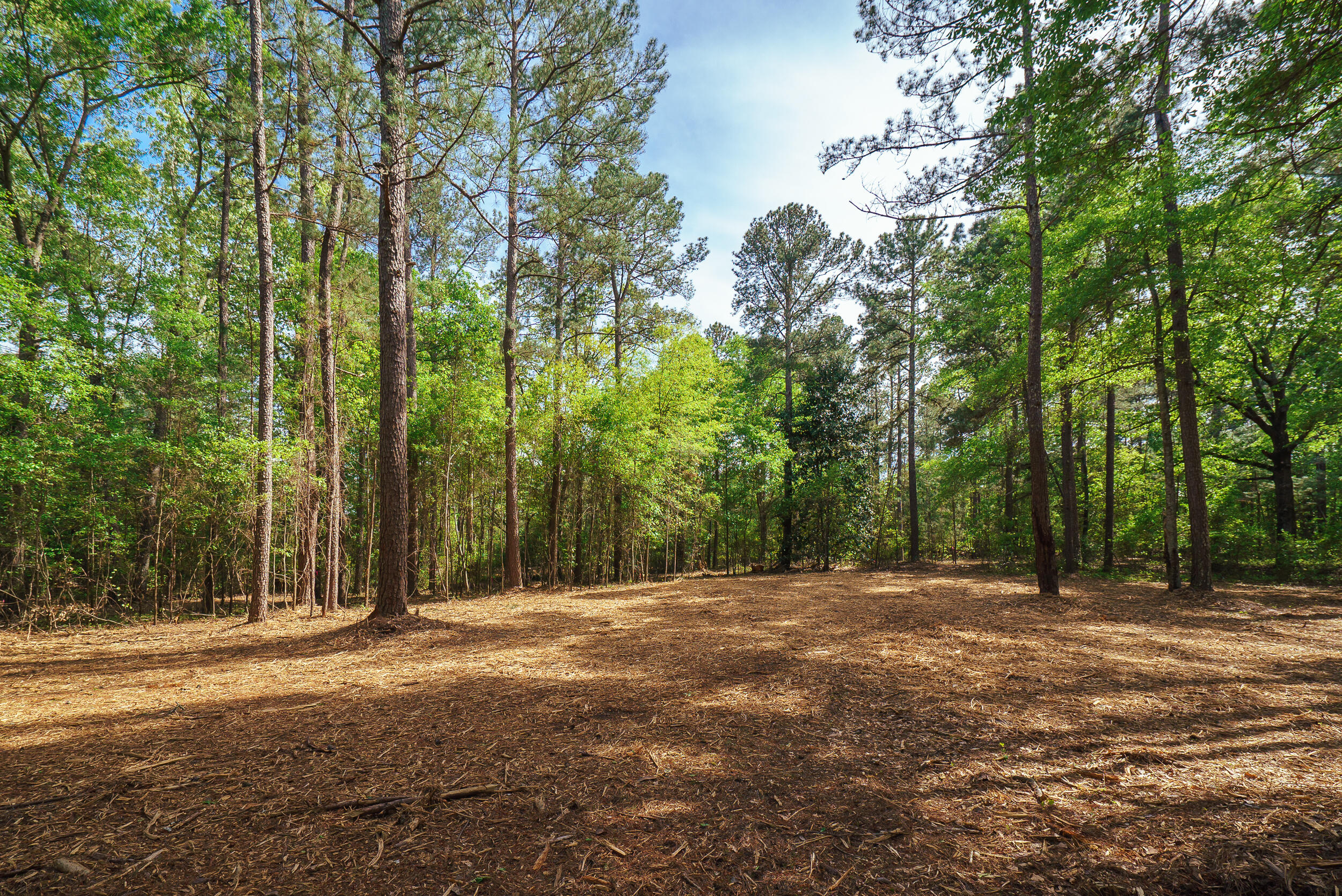 Lot 3 Banks Mill Road Southeast Aiken, SC 29803 - Photo 28 of 42
