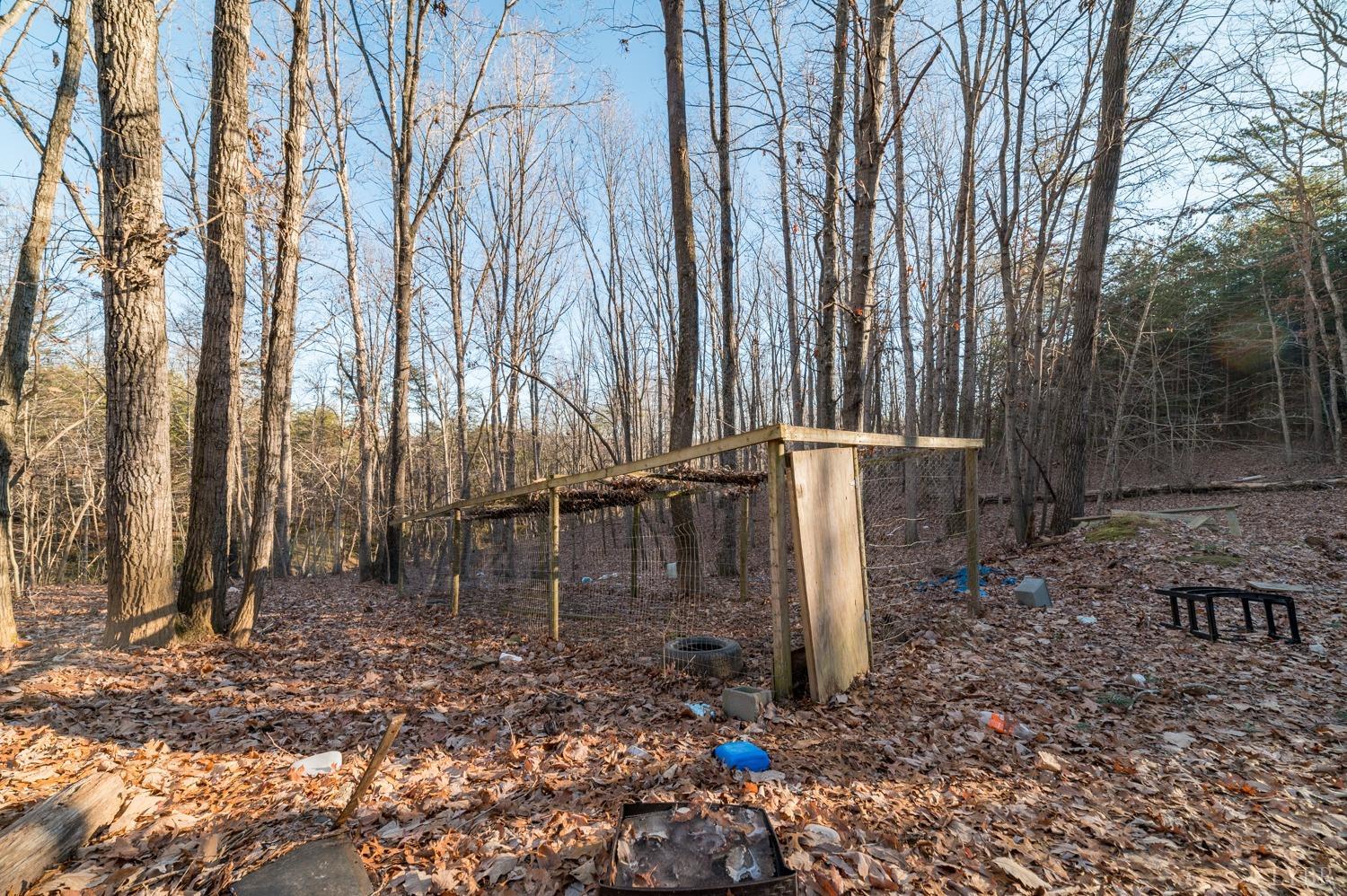 408 Jacobs Road Hurt, VA 24563 - Photo 48 of 49 a backyard of a house with lots of green space