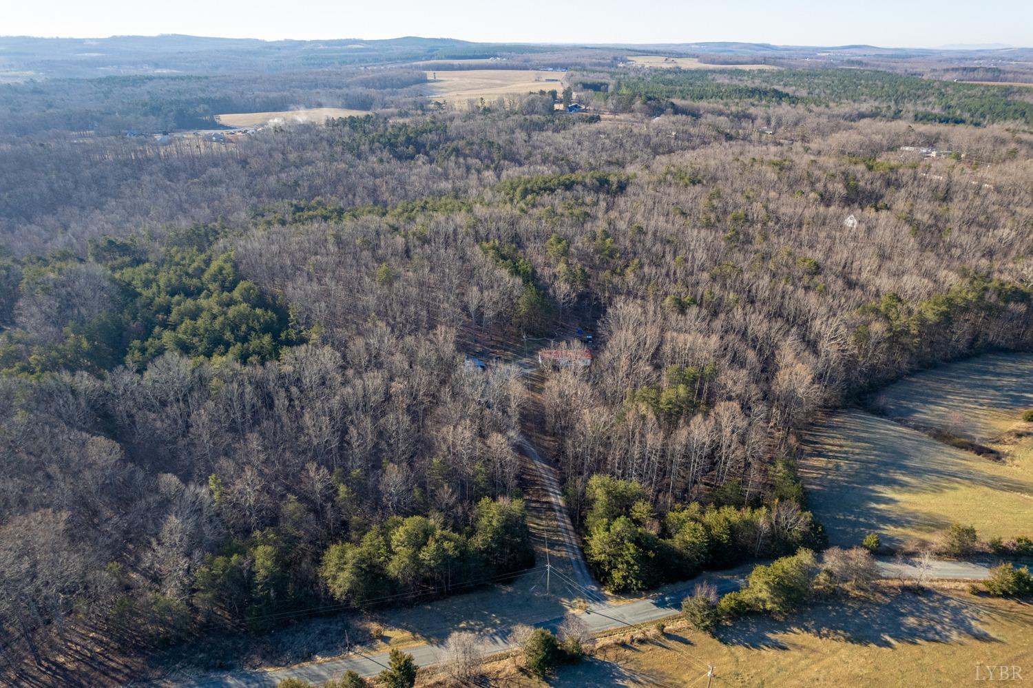 408 Jacobs Road Hurt, VA 24563 - Photo 6 of 49 a view of a bunch of trees and bushes