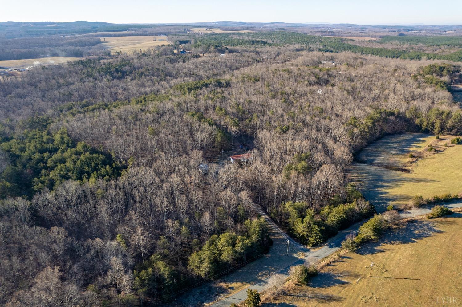 408 Jacobs Road Hurt, VA 24563 - Photo 8 of 49 a view of a bunch of trees and bushes