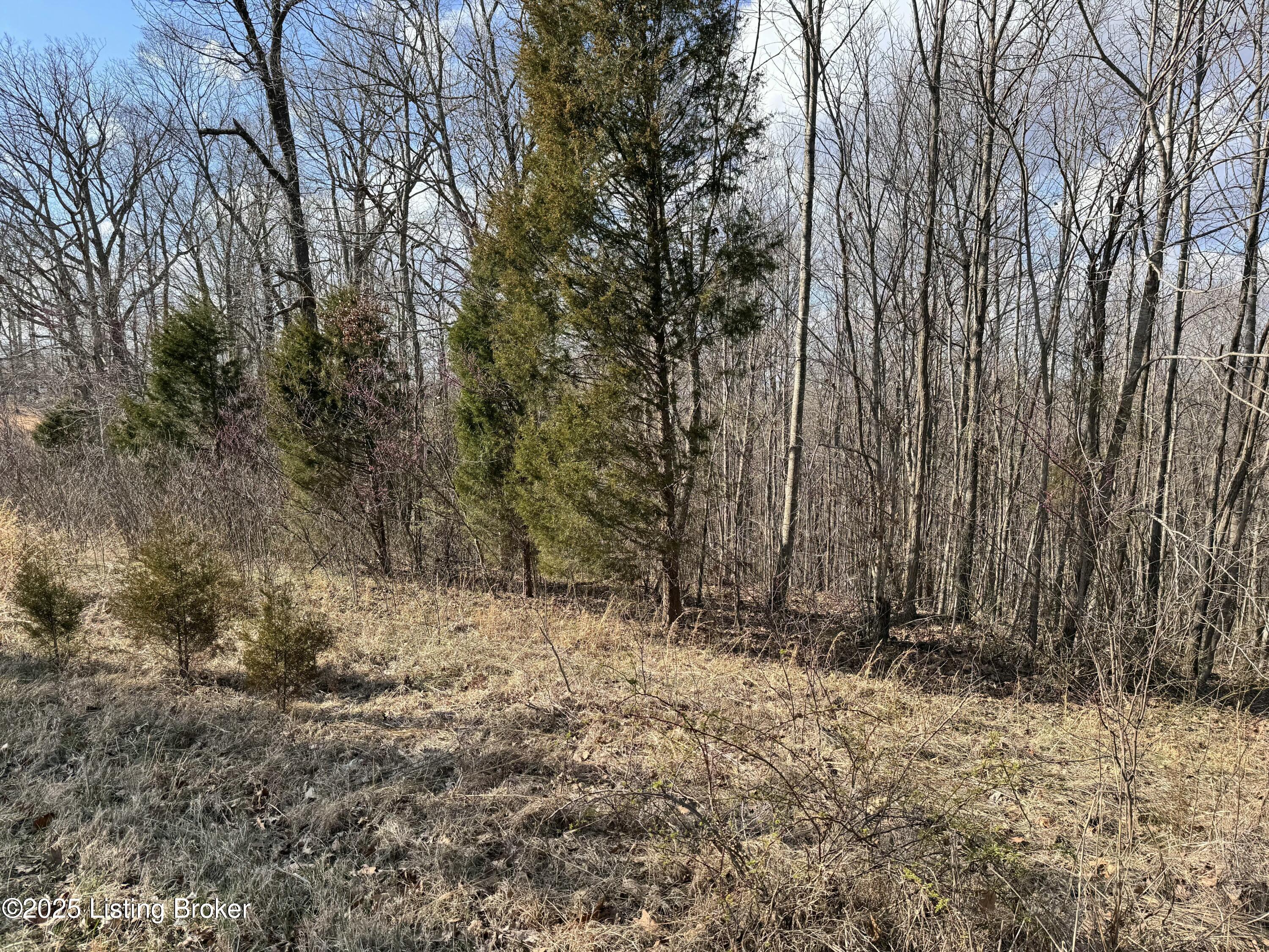 0 Cedar Flats Road Battletown, KY 40104 - Photo 4 of 7 tempImageBsPo7X