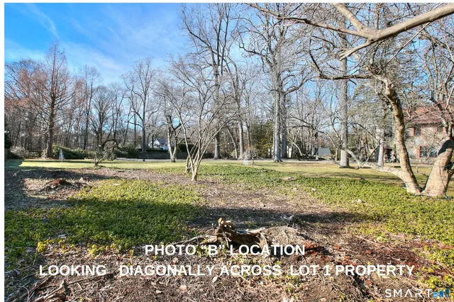 a view of yard with green space