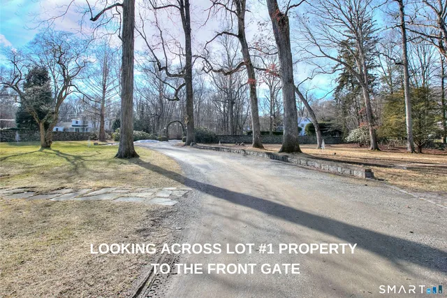 a view of a yard with trees