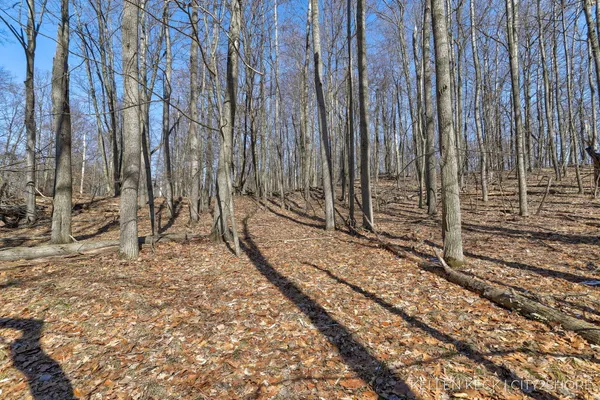 $4,000 | 11260 Apache Wells Court, Canadian Lakes, MI 49346