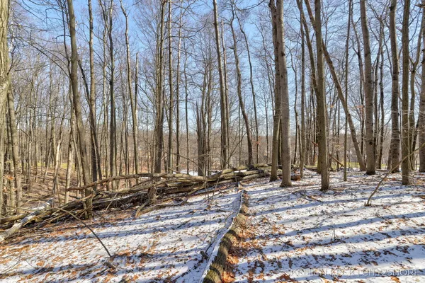 $4,000 | 11260 Apache Wells Court, Canadian Lakes, MI 49346