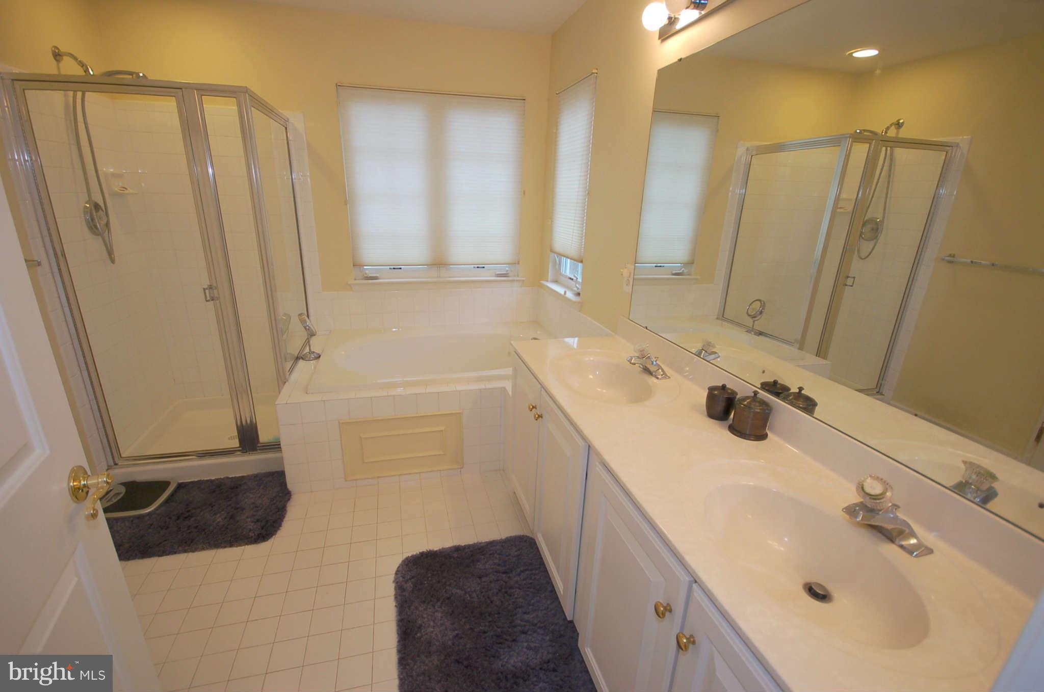 18629 Olney Mill Road Olney, MD 20832 - Photo 13 of 24 Bath (Master)