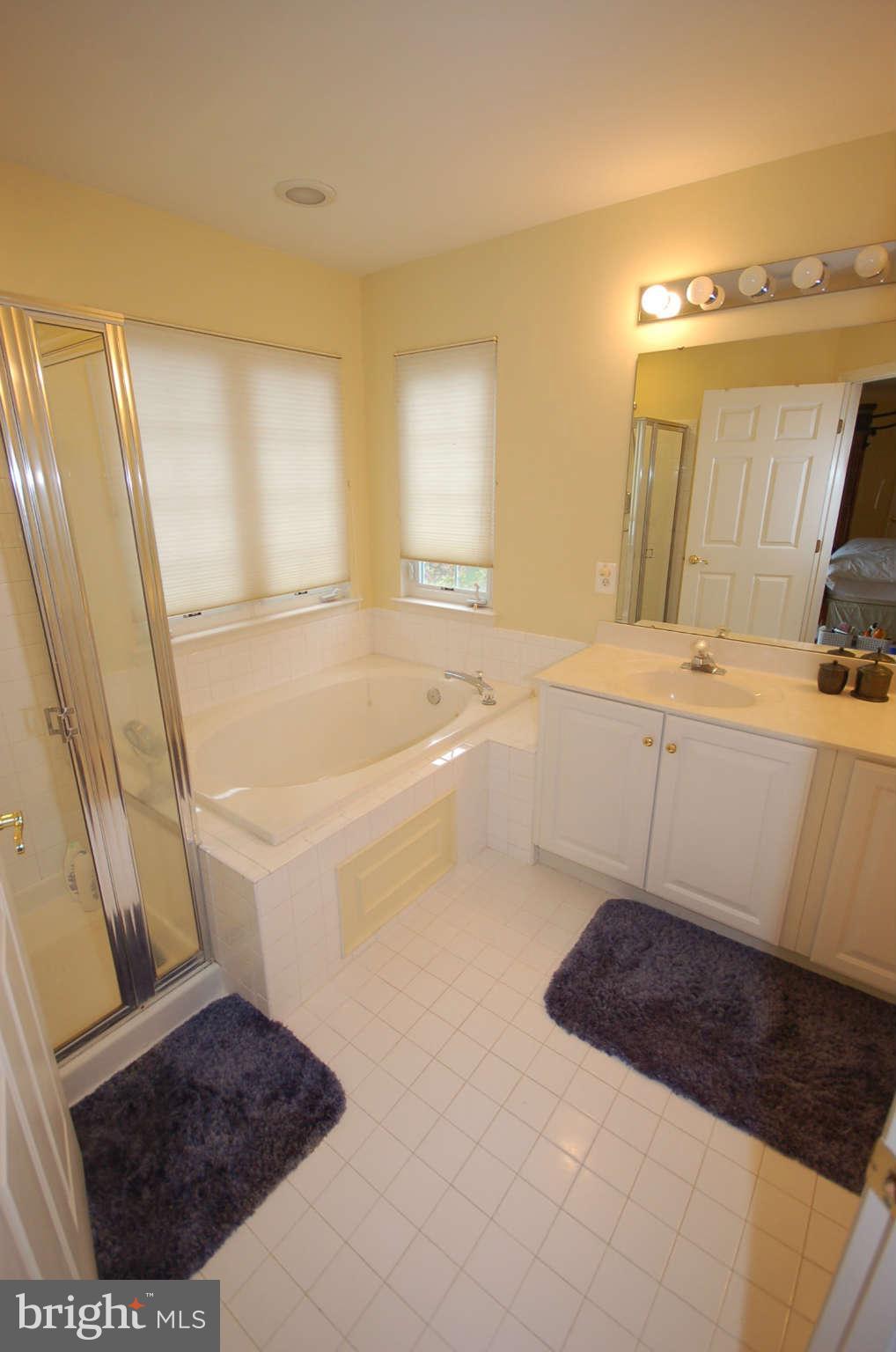18629 Olney Mill Road Olney, MD 20832 - Photo 14 of 24 Bath (Master)