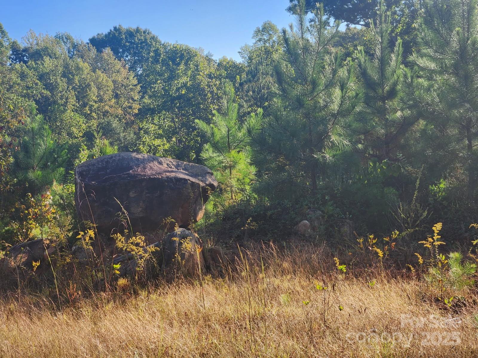 0 Cross Creek Estates Road Lancaster, SC 29720 - Photo 1 of 11 a view of a backyard of a house