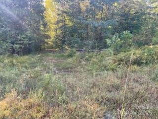0 Cross Creek Estates Road Lancaster, SC 29720 - Photo 3 of 11 a view of a forest with trees in the background