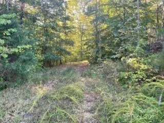 a view of outdoor space and trees