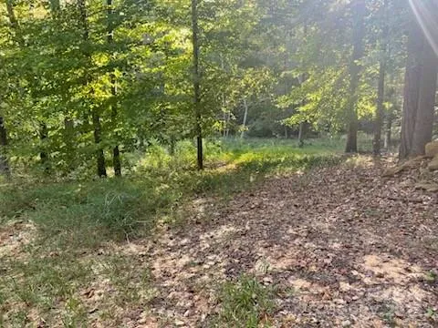 a view of a green field with lots of bushes