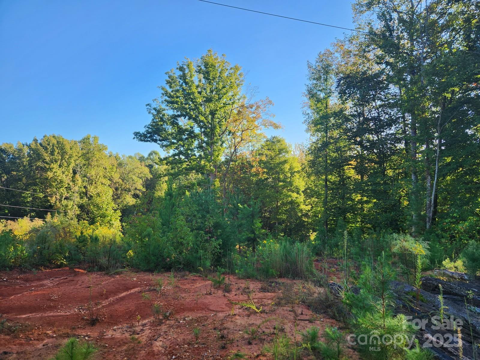 0 Cross Creek Estates Road Lancaster, SC 29720 - Photo 6 of 11 a view of a dirt road with trees in the background