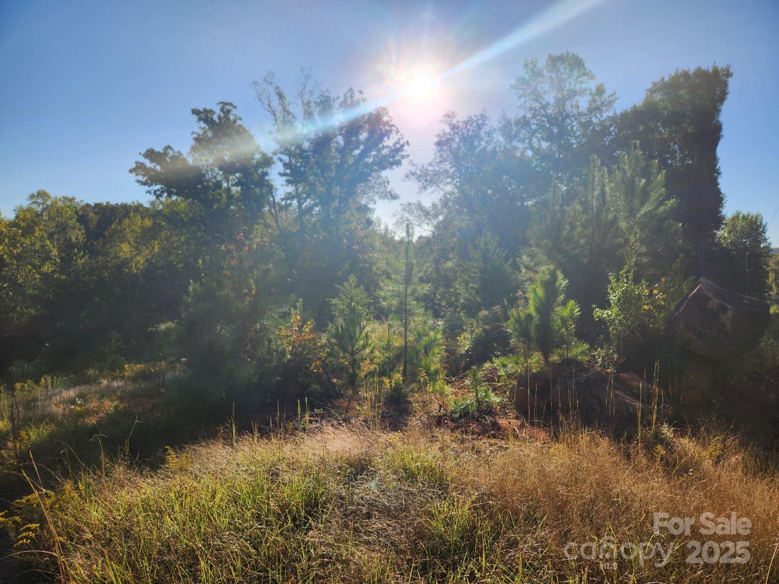 0 Cross Creek Estates Road Lancaster, SC 29720 - Photo 8 of 11 a view of a lake