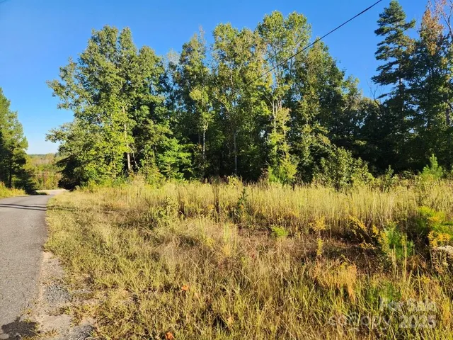 a view of a lake with a garden