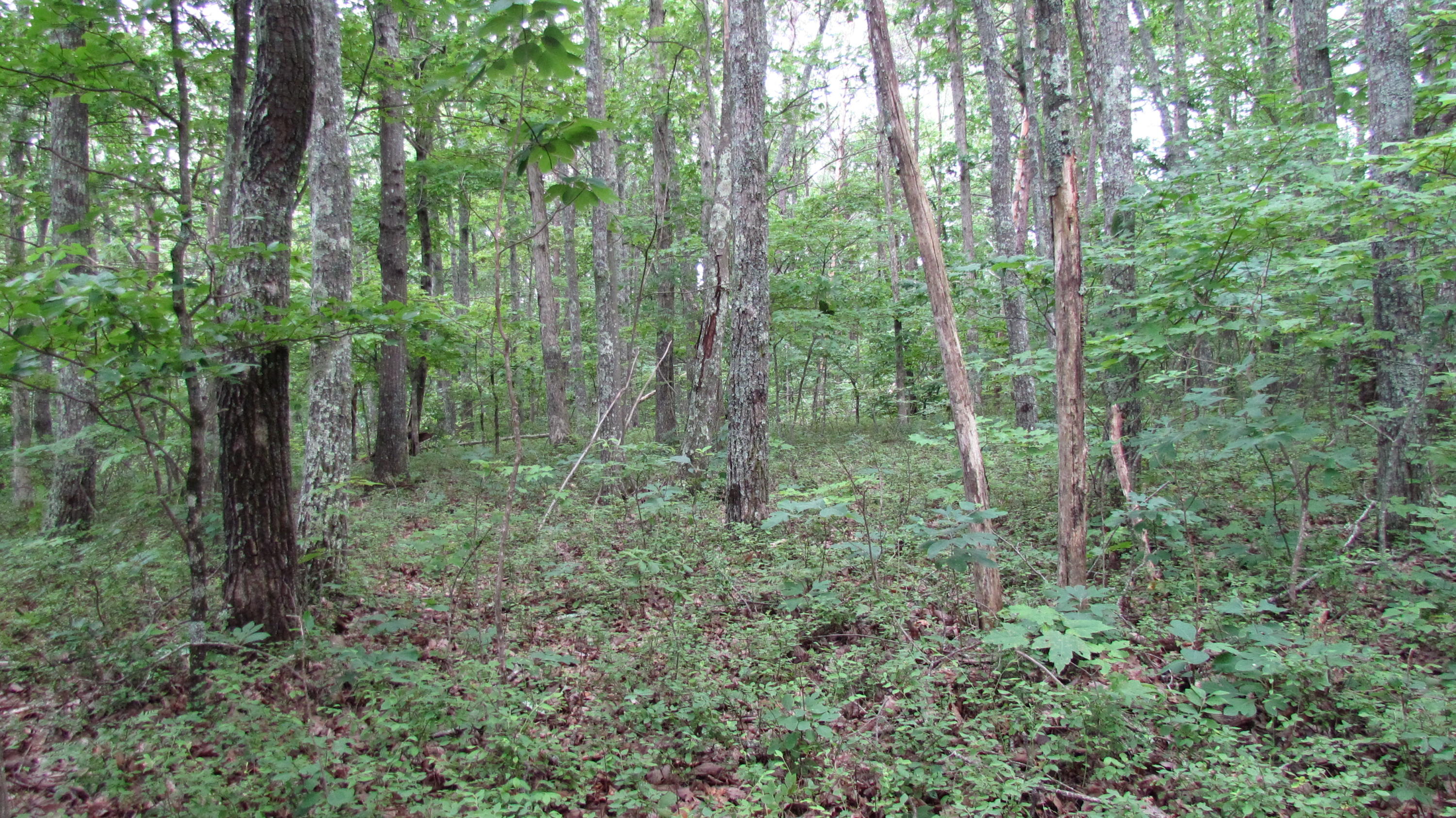 65 South Shivas South Rising Fawn Ga 30738, Unit 65 Rising Fawn, GA 30738 - Photo 17 of 22 IMG_1340
