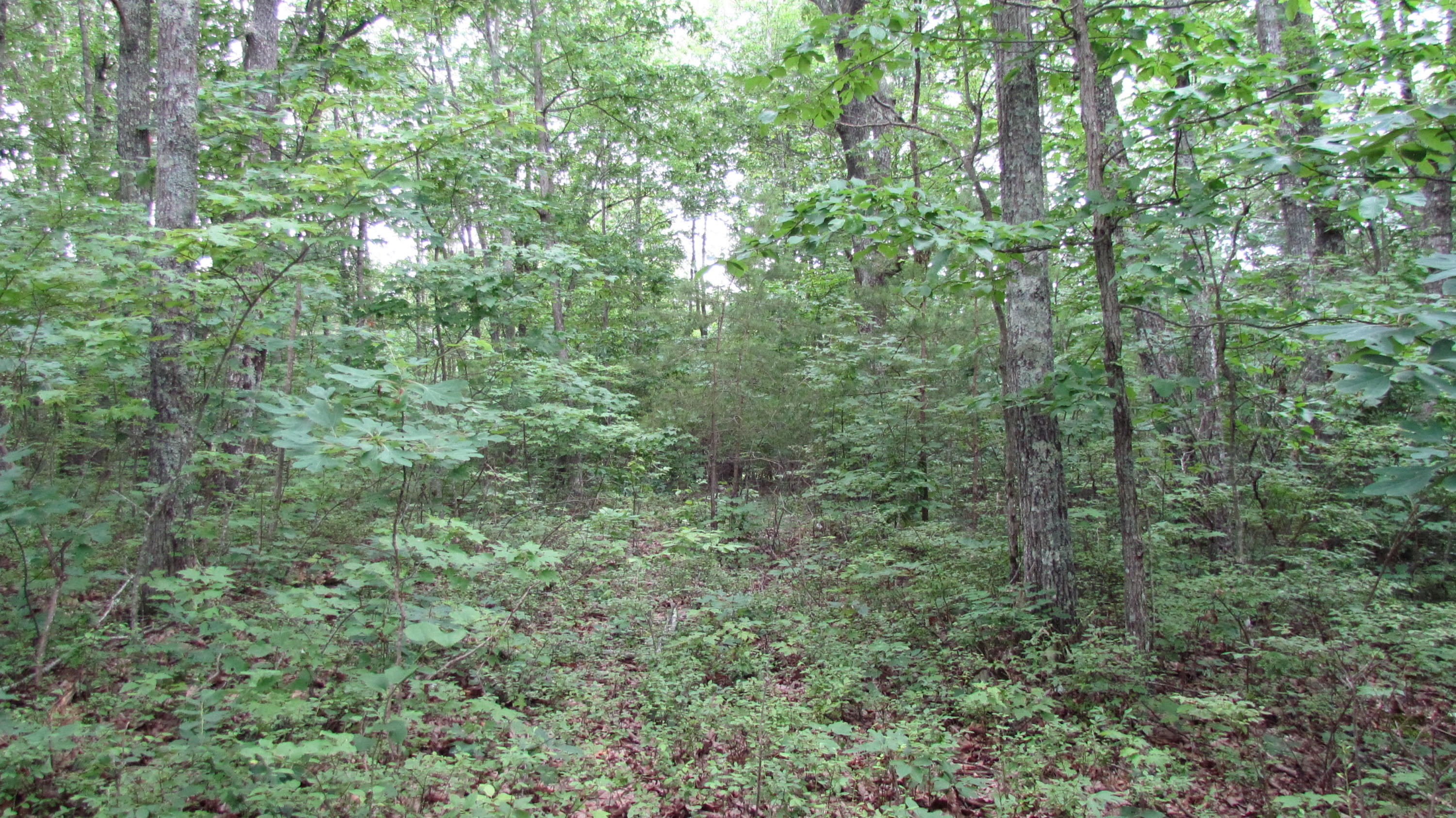 65 South Shivas South Rising Fawn Ga 30738, Unit 65 Rising Fawn, GA 30738 - Photo 18 of 22 IMG_1341