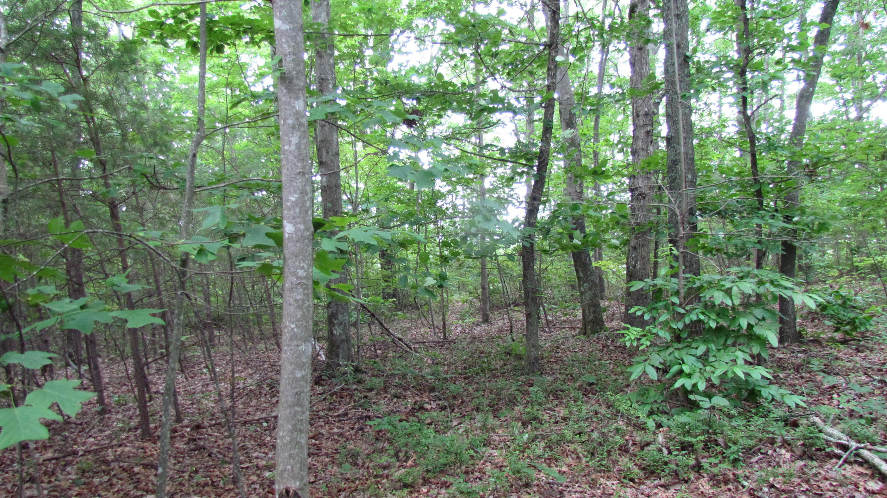 65 South Shivas South Rising Fawn Ga 30738, Unit 65 Rising Fawn, GA 30738 - Photo 22 of 22 IMG_1346