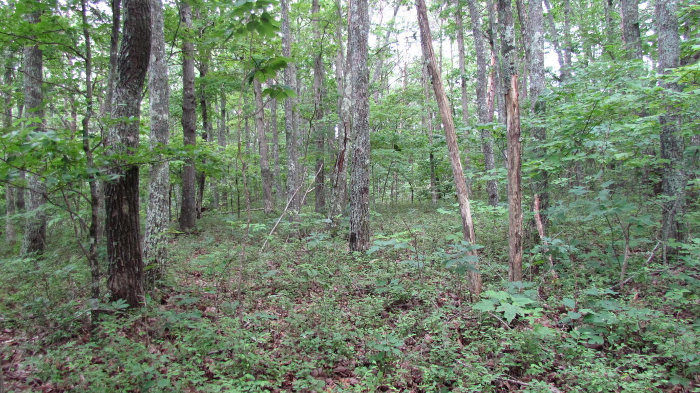 65 South Shivas South Rising Fawn Ga 30738, Unit 65 Rising Fawn, GA 30738 - Photo 7 of 22 20190621122443497182000000-o