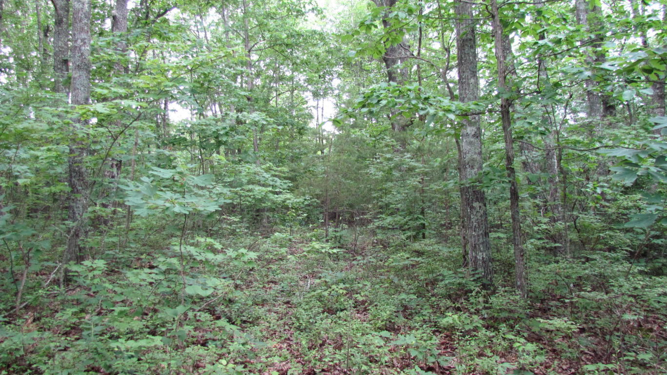 65 South Shivas South Rising Fawn Ga 30738, Unit 65 Rising Fawn, GA 30738 - Photo 8 of 22 20190621122449303559000000-o