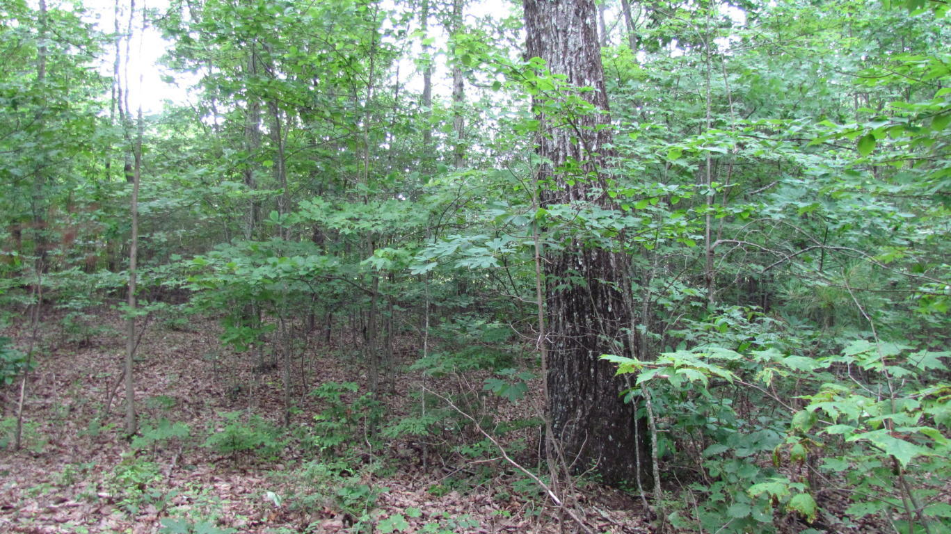 65 South Shivas South Rising Fawn Ga 30738, Unit 65 Rising Fawn, GA 30738 - Photo 9 of 22 20190621122500047171000000-o