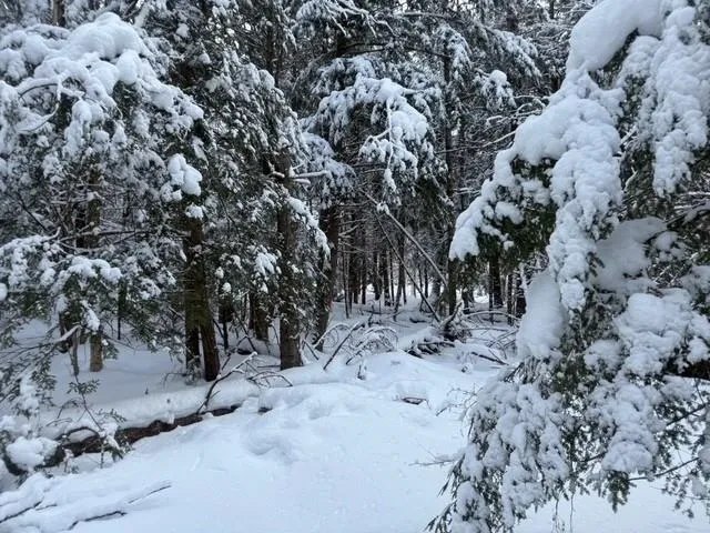 $120,000 | 932 Mud City Loop, Morristown, VT 05661