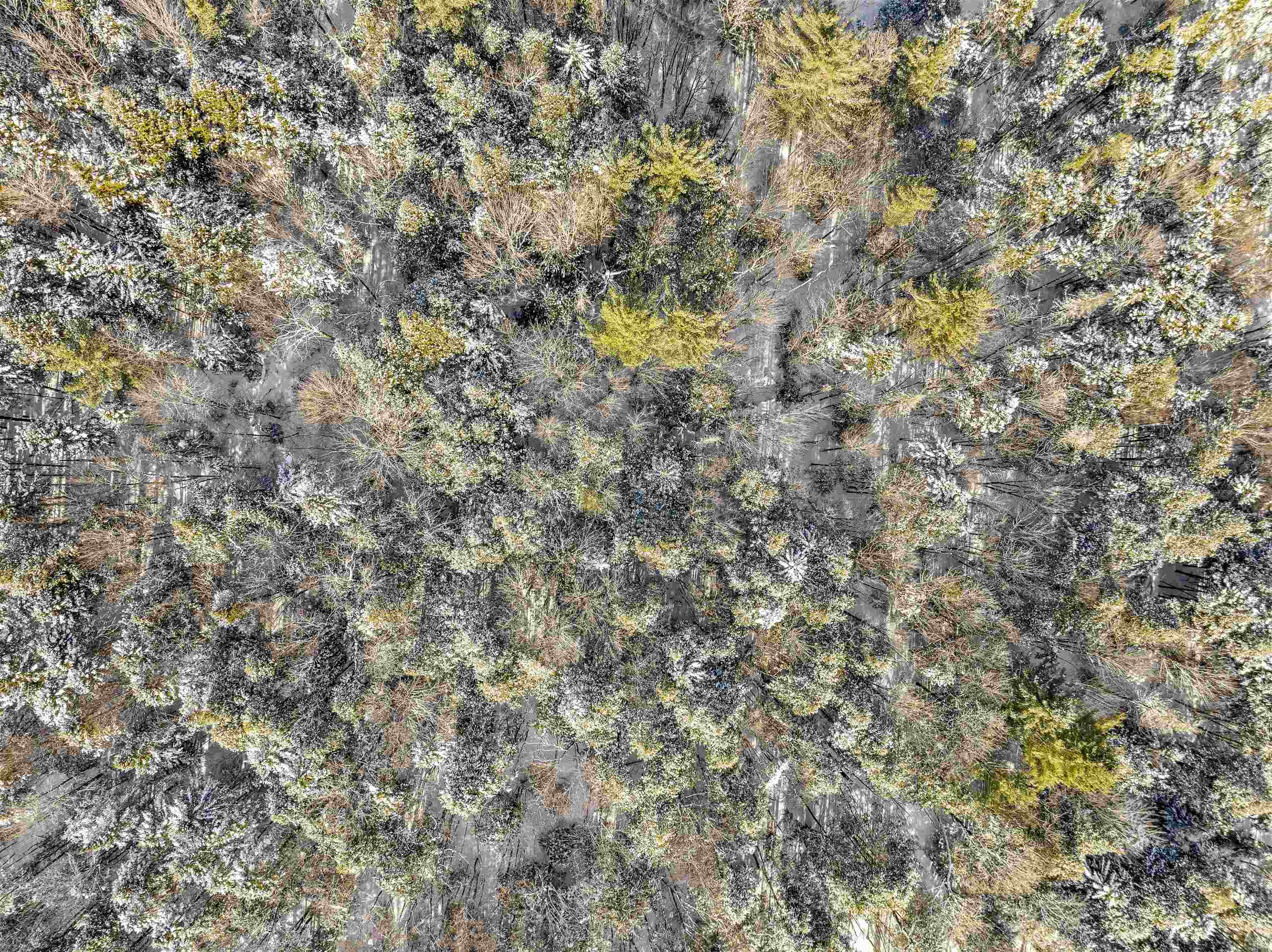 0 Mud City Loop Morristown, VT 05661 - Photo 17 of 18