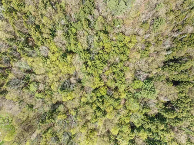 $120,000 | 932 Mud City Loop, Morristown, VT 05661